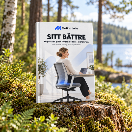 SITT BÄTTRE E-BOK